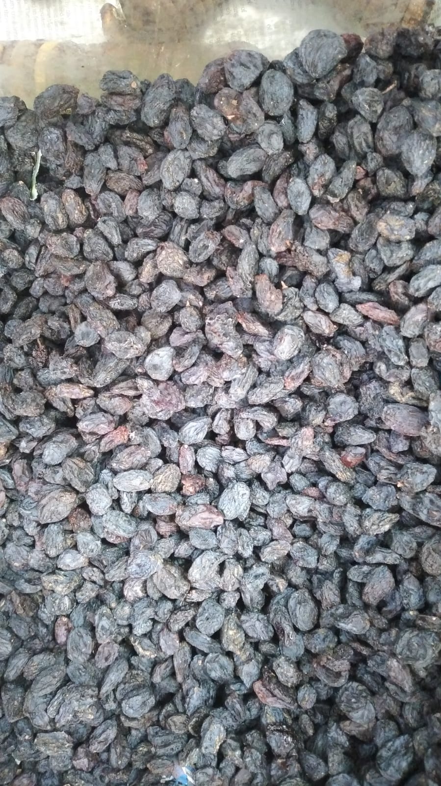 BLACK KISMIS SEEDLESS